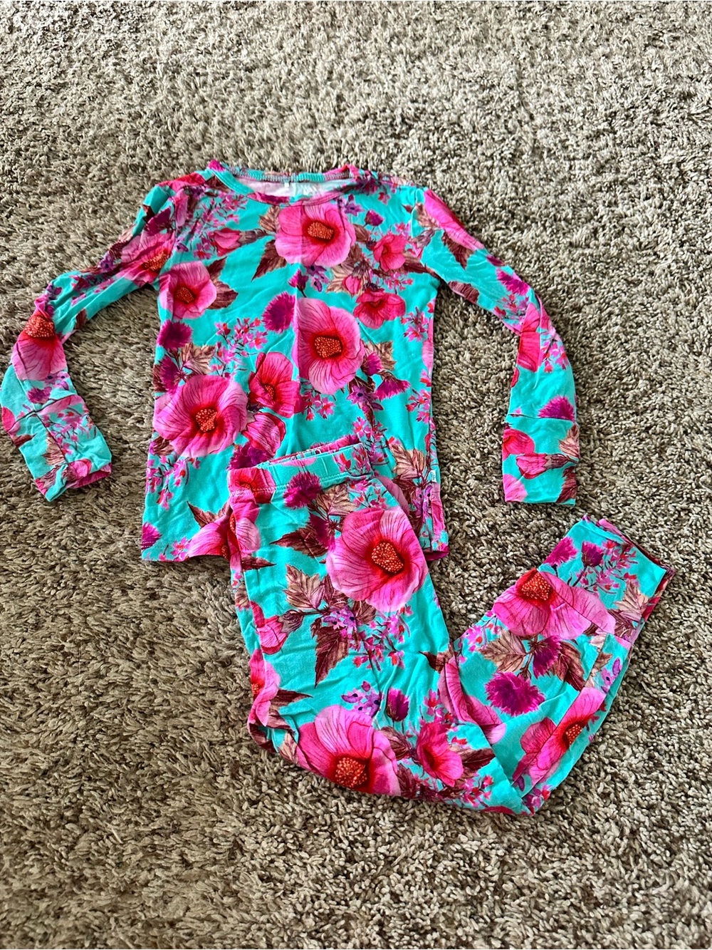 Posh Peanut Long-Sleeve Pajama Set